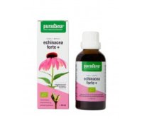 Purasana Echinacea Forte +