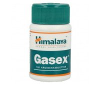 Holisan Gasex 100 tabletten