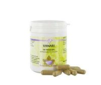 Holisan Vanari