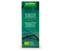 Purasana Eucalyptus Globulus Olie Bio