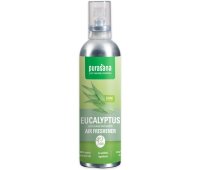 Purasana Frishi Eucalyptus Luchtverfrisser