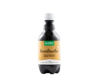 Purasana Kombucha Gember Vegan Bio