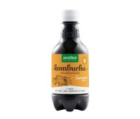 Purasana Kombucha Kurkuma
