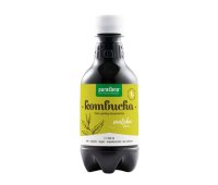 Purasana Kombucha Matcha Vegan Bio