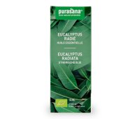 Purasana Eucalyptus Radiata Olie Bio