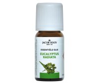 Jacob Hooy Eucalyptus Radiata Olie