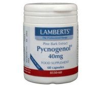 Lamberts Pycnogenol Pijnboombast Extract 40 mg