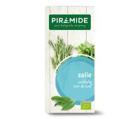 Piramide Kruidenthee Salie Bio