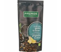 Piramide Biologische Thee Citroen en Gember