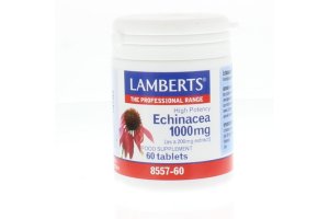 Lamberts Echinacea 1000mg met zink en vitamine C