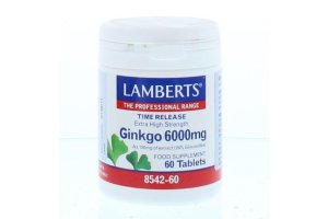 Lamberts Ginkgo 6000mg