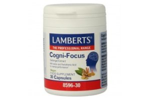 Lamberts Cogni-focus 30 tabletten